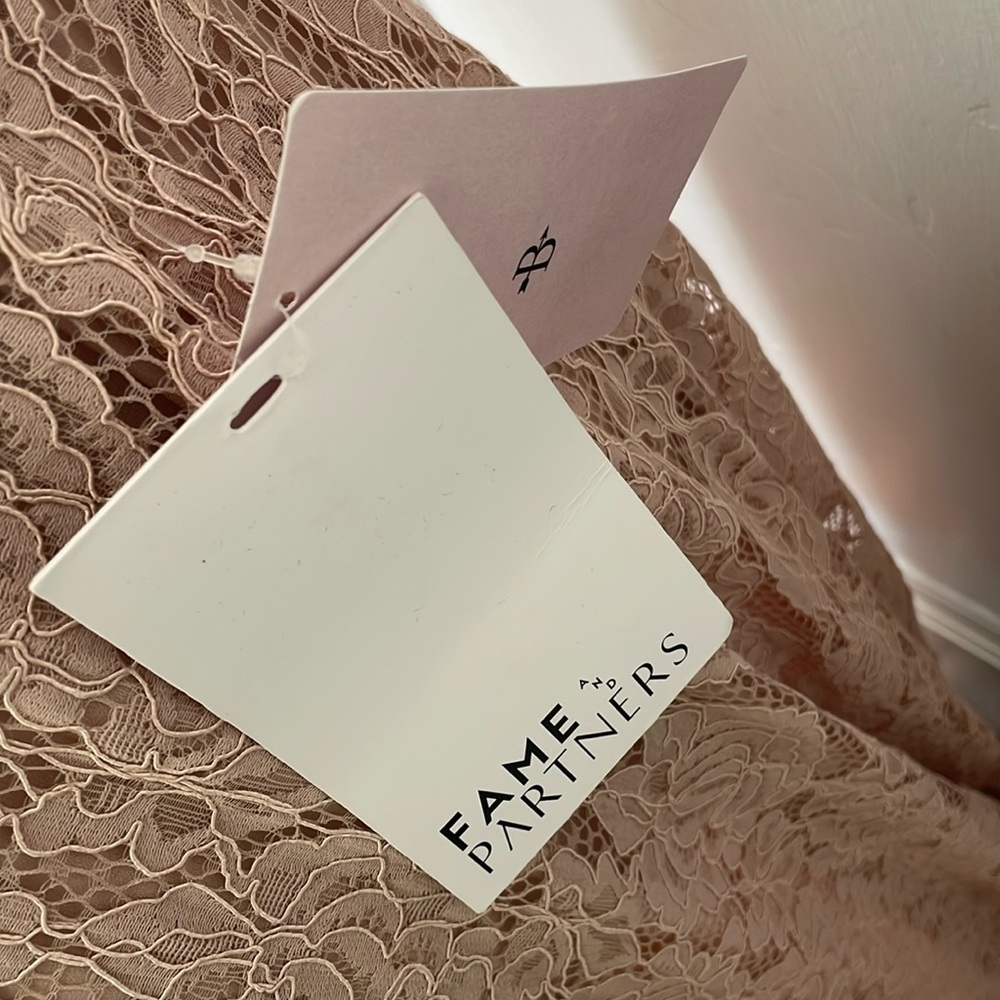Anthropologie NWT Fame and Partners Charlotte Lace Maxi Gown Size 6 Blush‎ - Picture 4 of 10